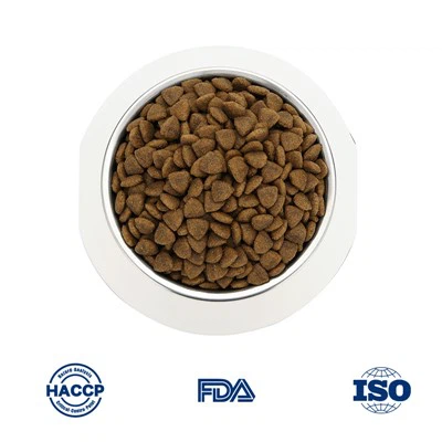 Tápláló cica ételek